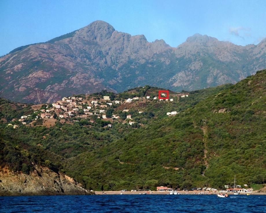 Romarin * Partinello